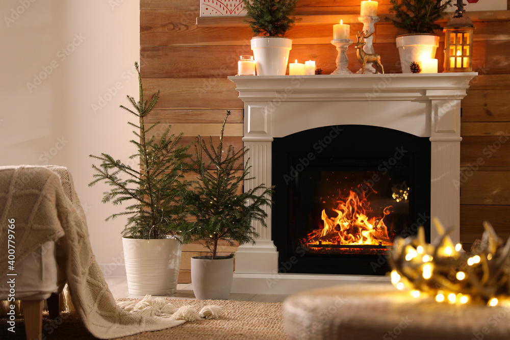 Beautiful room interior with potted firs and fireplace Beautiful room interior with potted firs and fireplace