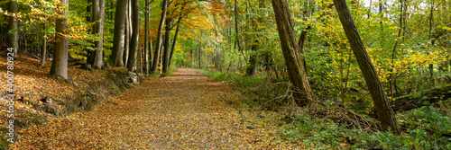 Weg durch den Herbstwald, Naturschutzgebiet Elsebachtal, Schwerte, Nordrhein-Westfalen, Deutschland, Europa