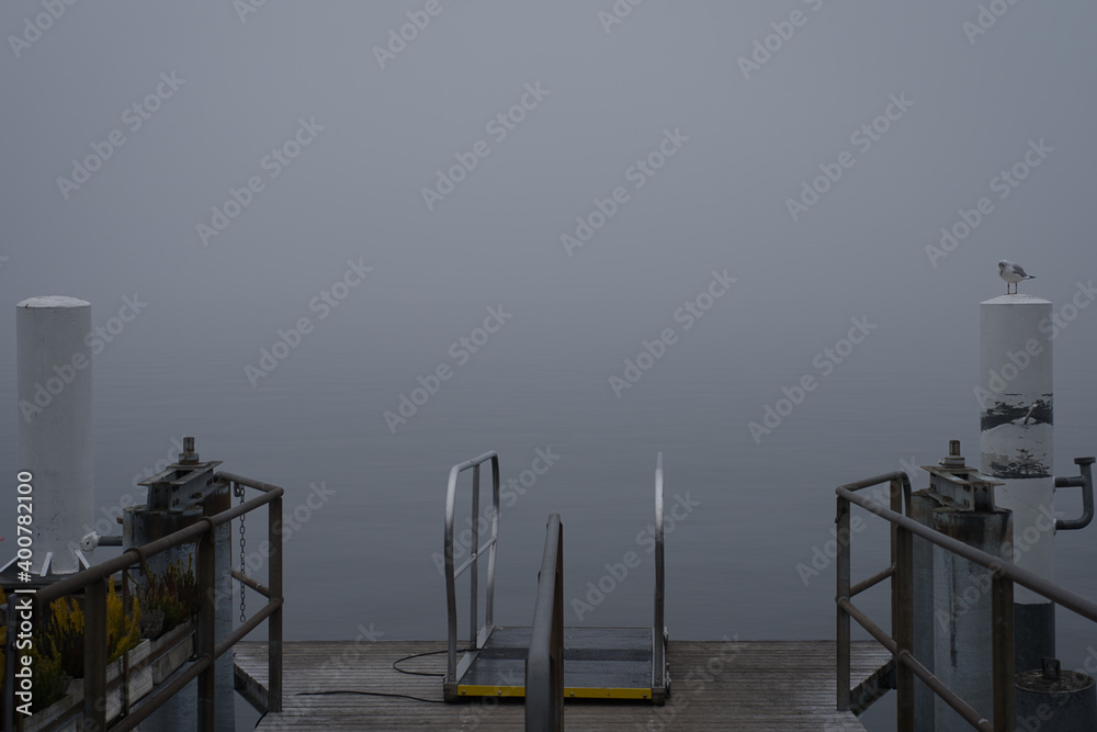 Bootssteg mit Möwe im Nebel