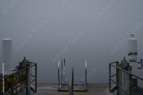 Obraz na płótnie Bootssteg mit Möwe im Nebel w salonie