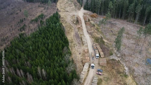 Aerial drone ascending view of piles of cutted trees next to road with trucks. photo