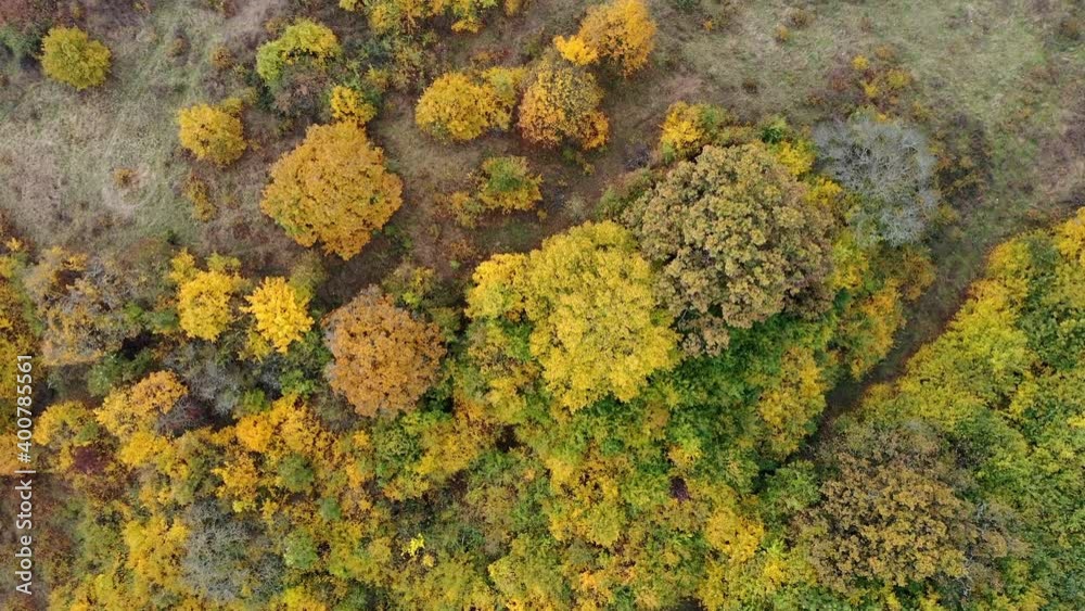 Mixed autumn forest and pasture aerial background Mixed autumn forest and pasture aerial background