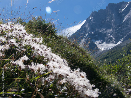 lake de la gliere,champagny en vanoise,savoie ,france photo