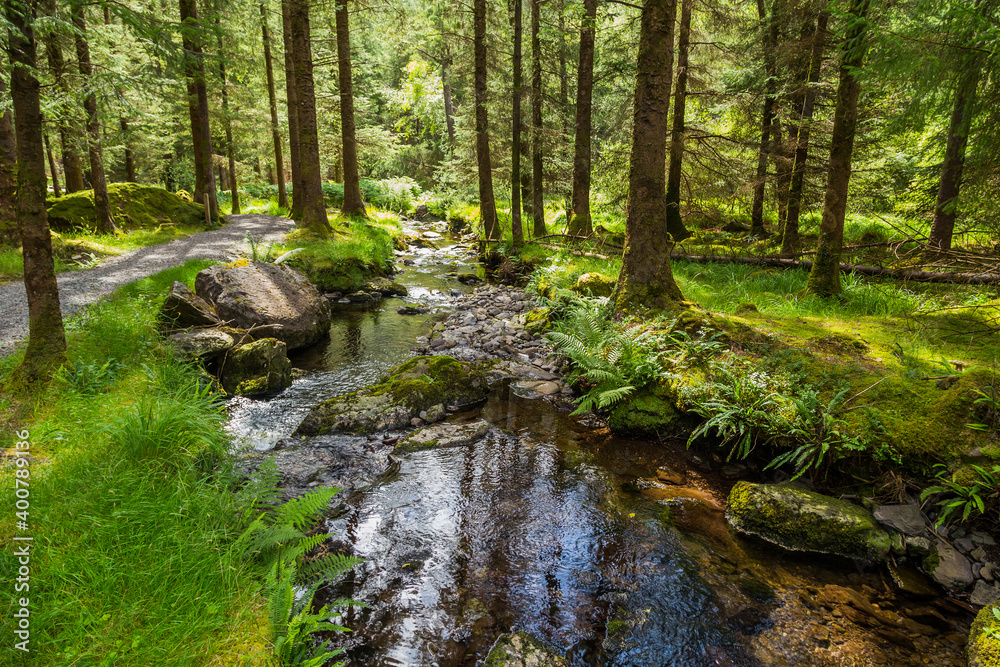 Tiny river in the Irish countryside