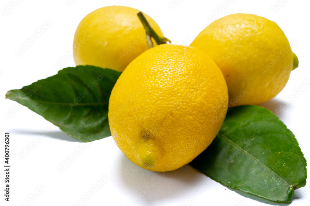 Fresh ripe yellow Italian lemons with leaf, new harvest