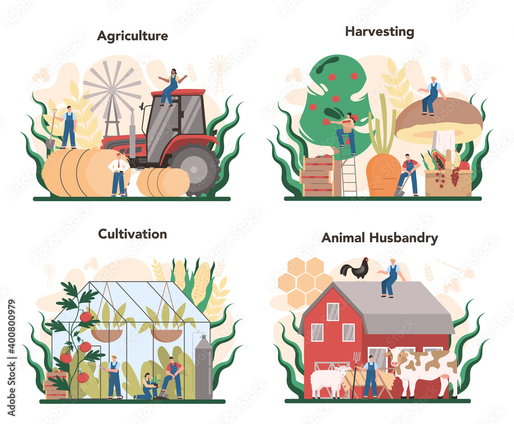 Agriculture concept set. Farming food cultivation and production