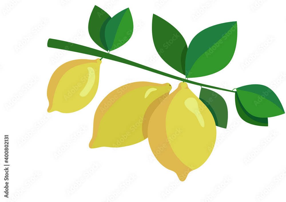 Sprig with lemons and leaves