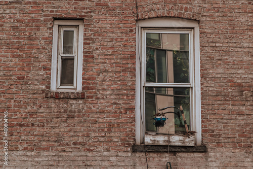 Sparrow birds on the window of an old brick house, eating grain from a feeder