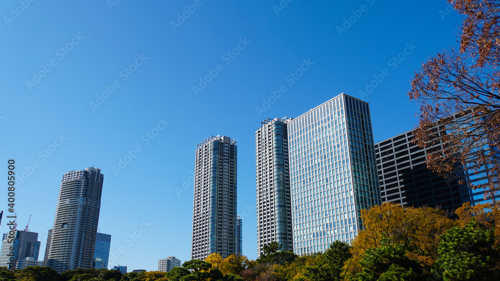 Fototapeta premium 雲一つない青空の下にそびえ立つ大都会東京の高層オフィスビル群
