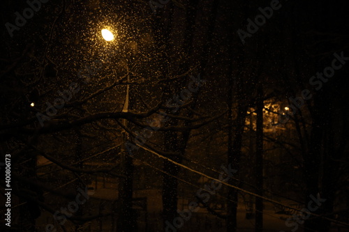 Snow on the branches of a tree at night in the illumination of a lantern