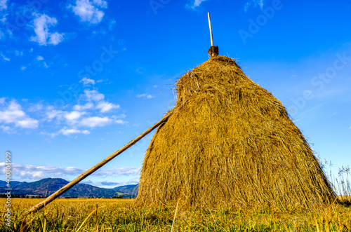 old haybale at a field