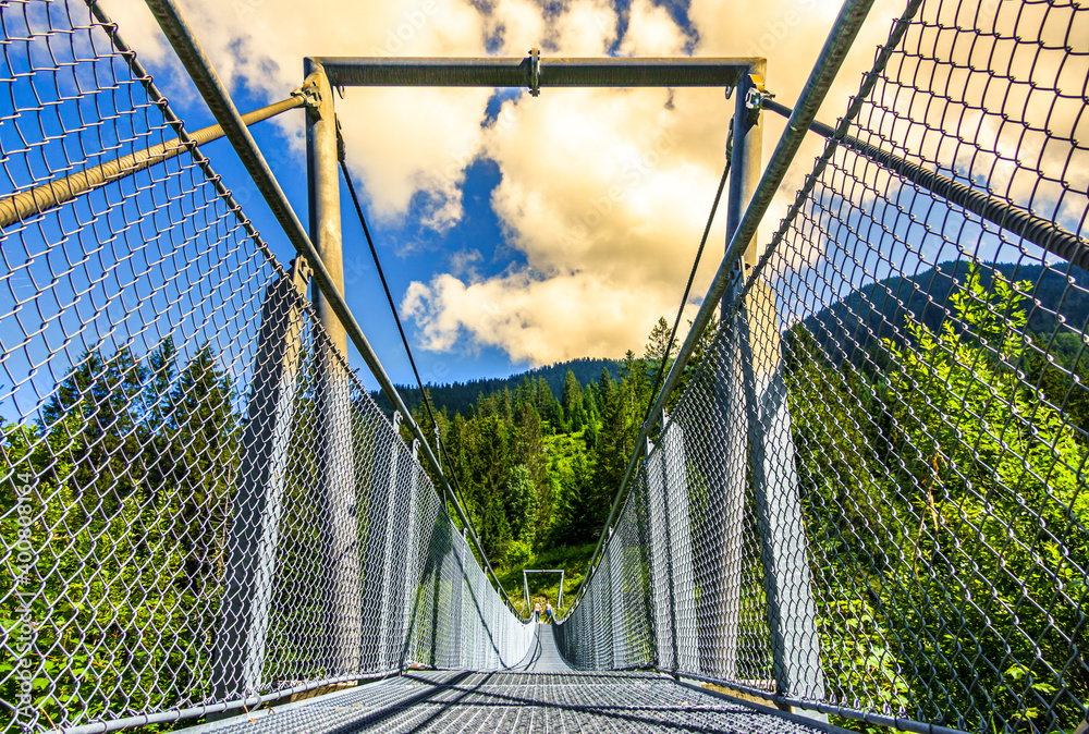 Fototapeta premium new metal bridge at a forest