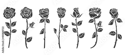 Set of monochrome roses flower in minimalistic hand drawn style. Collection color art elements isolated on white background. Vector illustration.