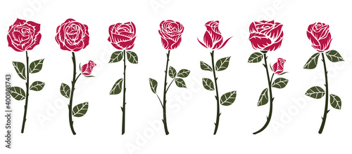 Set of red roses flower in minimalistic hand drawn style. Collection color art elements isolated on white background. Vector illustration.