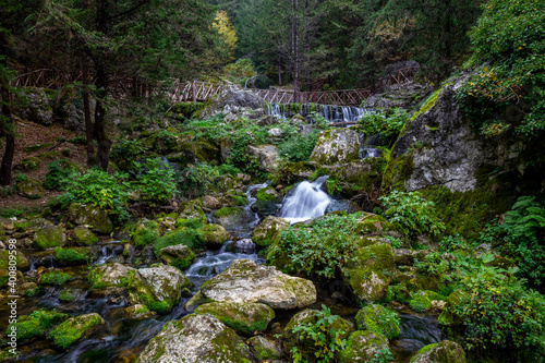 wonderful waterfalls of the cypress forest of fontegreca photo