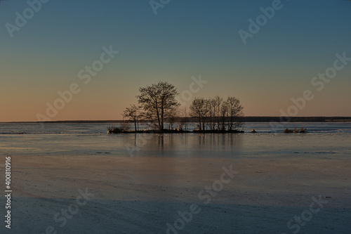 Fototapeta Naklejka Na Ścianę i Meble -  The landscape before sunrise, a small island with trees, on the one hand, is bound by newly formed ice, and on the other, it is washed by unfrozen water. 