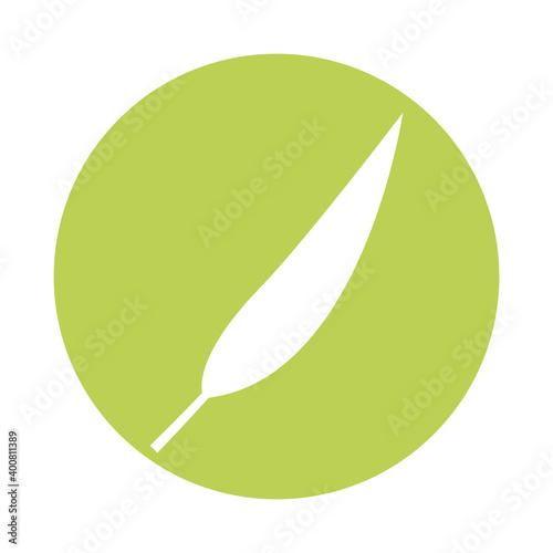 oblong leaf plant style silhouette icon vector illustration design