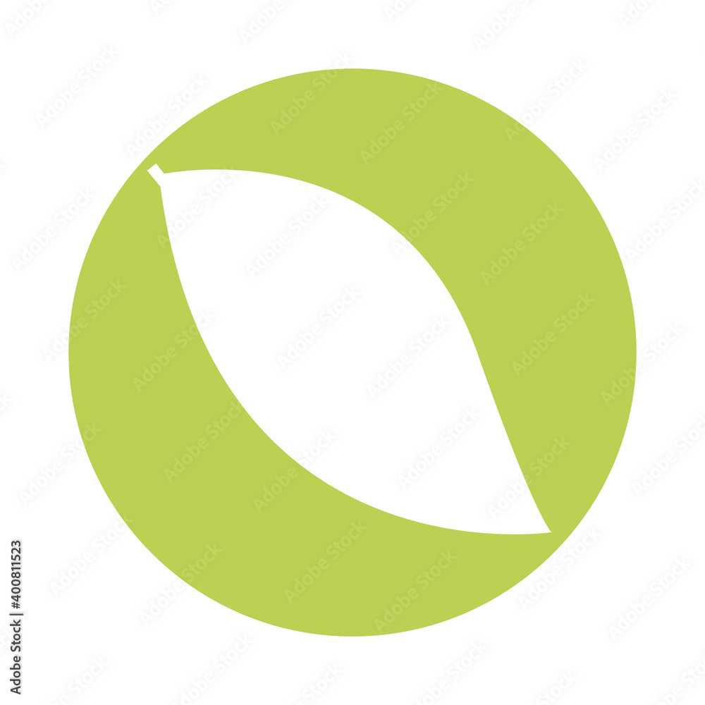 ovate leaf plant silhouette style icon vector illustration design