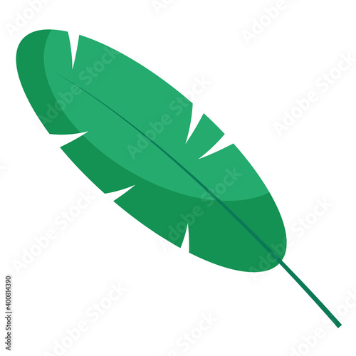 oblong leaf plant flat style icon vector illustration design