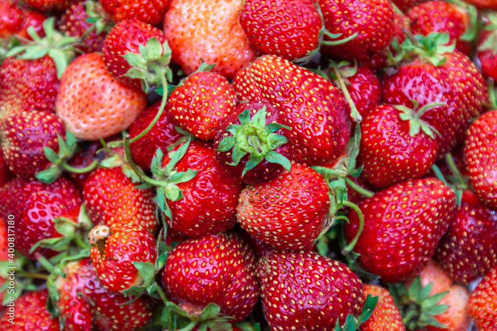Freshly picked strawberries. Close-up. Freshly picked strawberries. Close-up.
