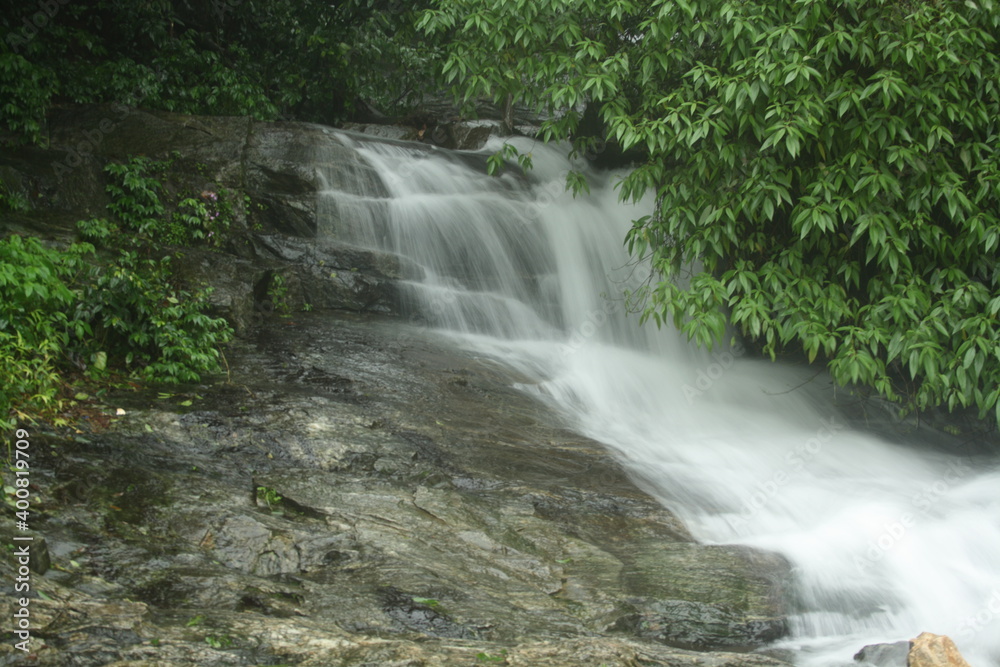 Fototapeta premium Waterfall in the forest