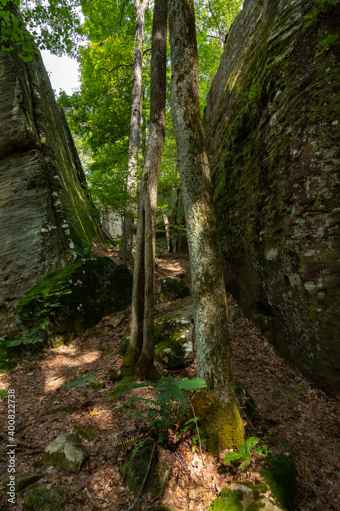 Unique rock formations on the hiking trails around Bell Smith Springs. Shawnee National Forest, Illinois. Unique rock formations on the hiking trails around Bell Smith Springs. Shawnee National Forest, Illinois.