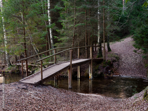 a wooden bridge over a forest stream photo