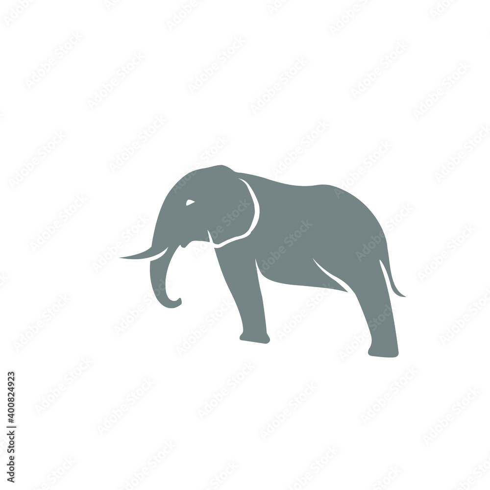 Obraz premium elephant logo design