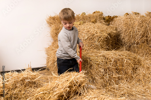 little four year old boy sweeping hay with a broom on the farm. the child helps the parents with the housework. bags with hay in the background. © Олег Кононов