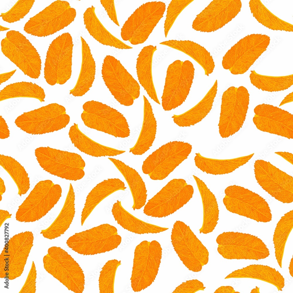 colored pattern of mint leaves.
colored pattern of mint leaves.
