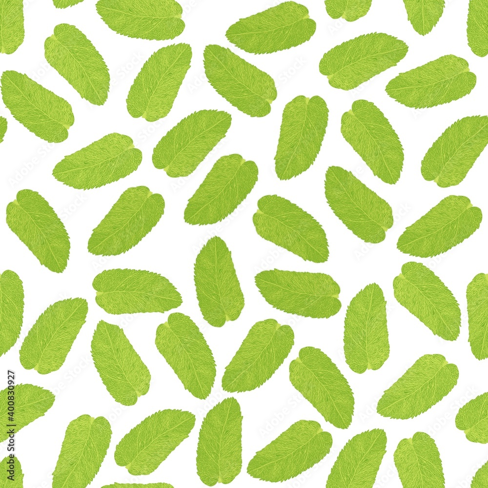 colored pattern of mint leaves.
colored pattern of mint leaves.