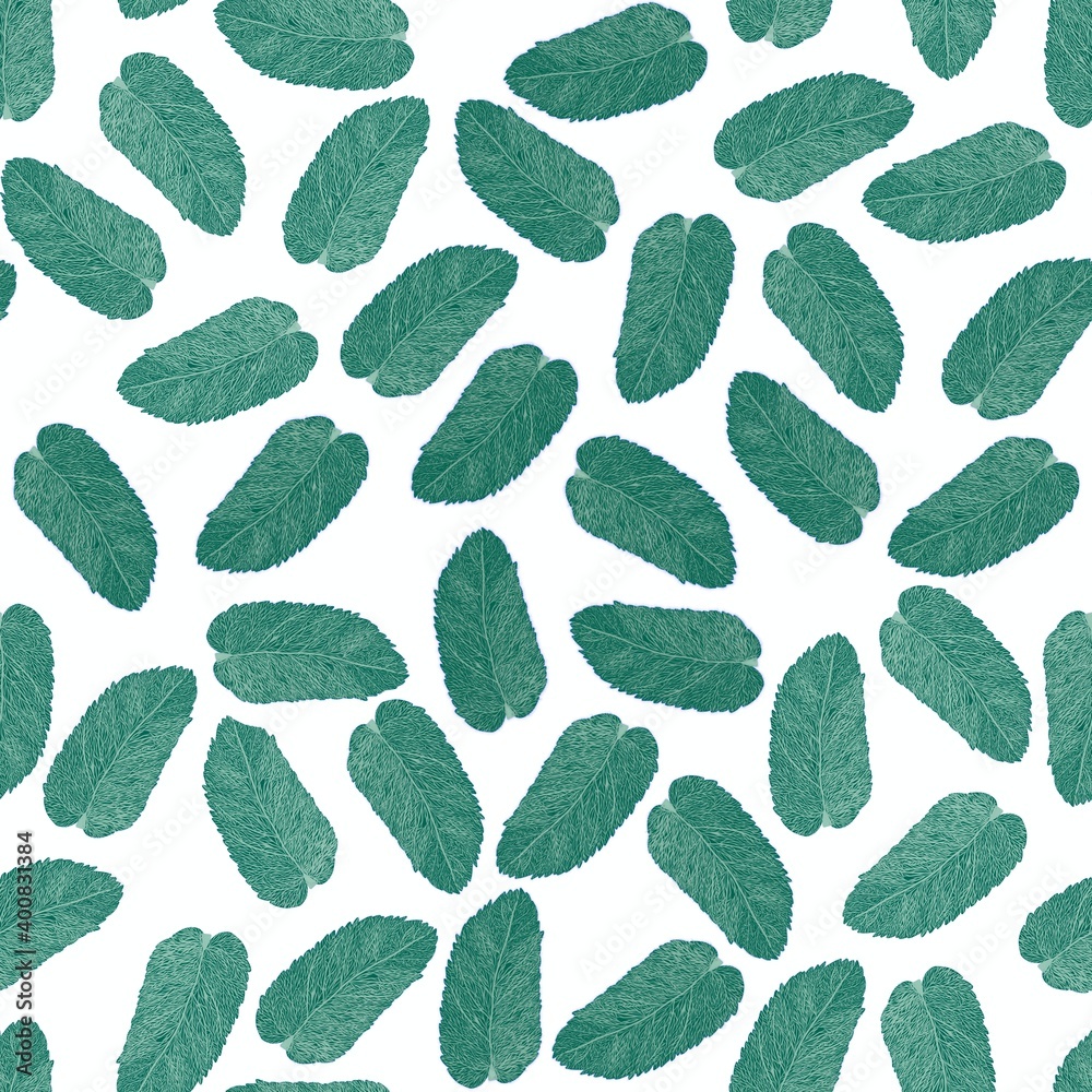 colored pattern of mint leaves.
colored pattern of mint leaves.
