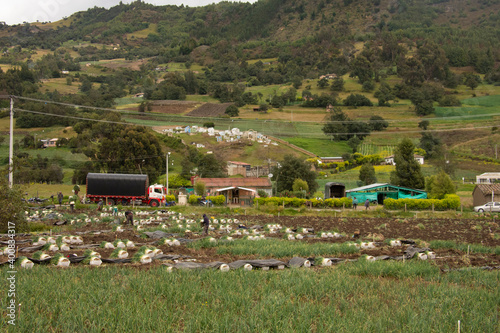 colombia boyaca villa de leyva raquira photo