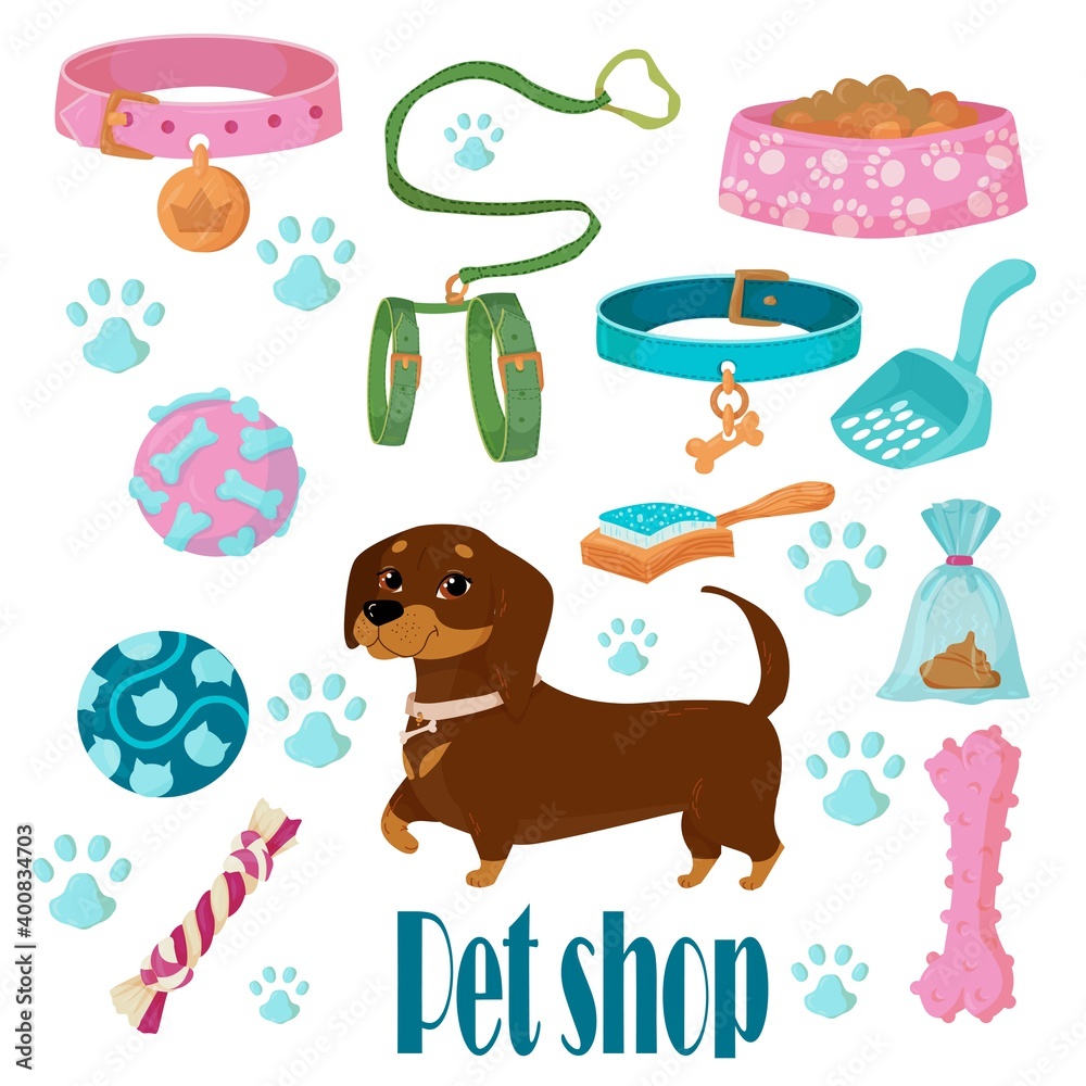 A large set of items for cats or dogs. toys for animals. Animal accessories Hand-drawn element from a set of doodles. Isolated illustration on a white background.