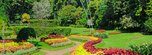 Fotografie Summer garden scene. Tropical park view. Wide photo.