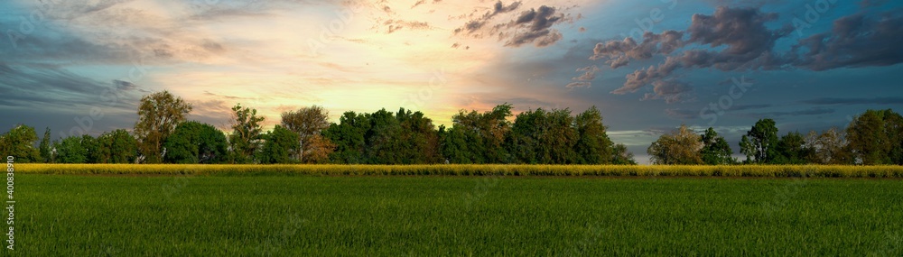 landscape fields on a farm - panorama