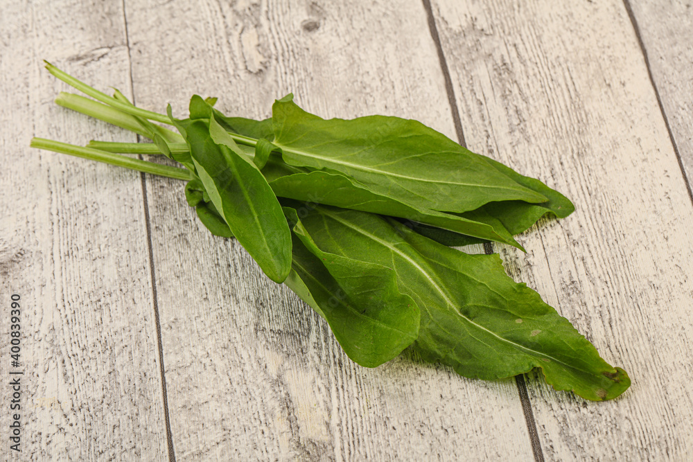 Aroma Fresh green sorrel heap Aroma Fresh green sorrel heap