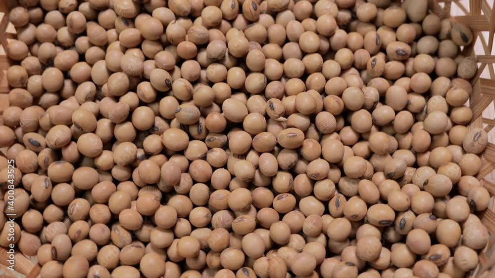Raw soybean seed food organic top view texture, High in fiber, helps prevent cancer, supplementary food, Protein healthy food, Close-Up Shot of Soybean Falling, slow motion. Raw soybean seed food organic top view texture, High in fiber, helps prevent cancer, supplementary food, Protein healthy food, Close-Up Shot of Soybean Falling, slow motion.