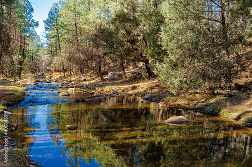 The East Verde River in Arizona reflecting the trees