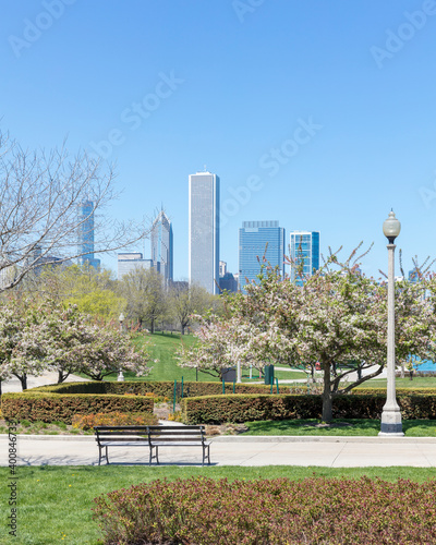 Skyscrapers seen from Grant Park, Chicago, USA photo