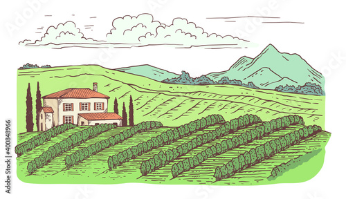Rural countryside landscape with vineyard cartoon vector illustration isolated.