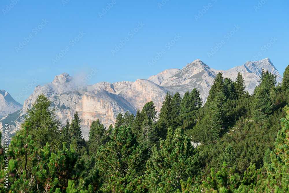 Close up view on a thick forest overgrowing the area of Italian Dolomites, with a massive mountain chain behind it. The valley is shrouded in morning haze. There are high, stony mountain chains around
