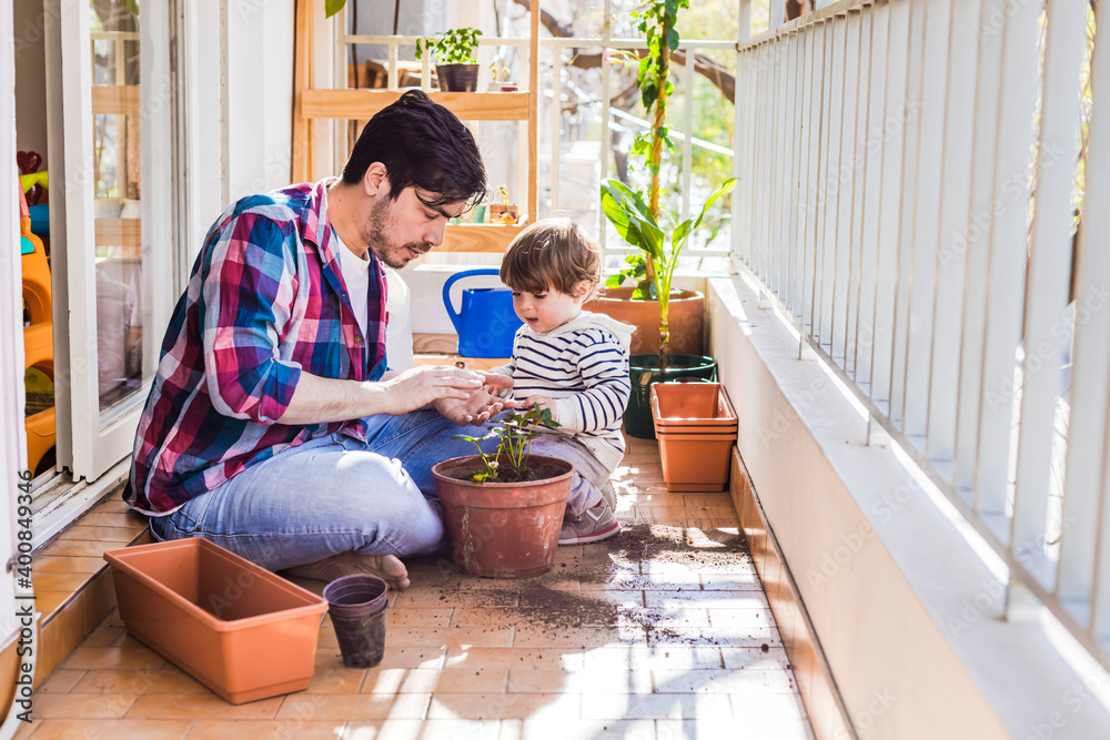 Man and boy planting strawberry plant in pot while sitting at balcony Man and boy planting strawberry plant in pot while sitting at balcony