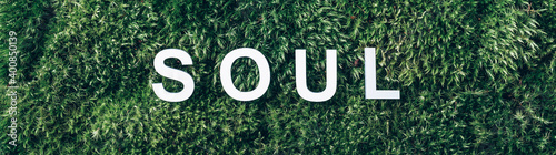 Photography Word SOUL on moss, green grass background