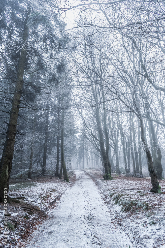 Breeze of winter in Owl Mountains, Poland