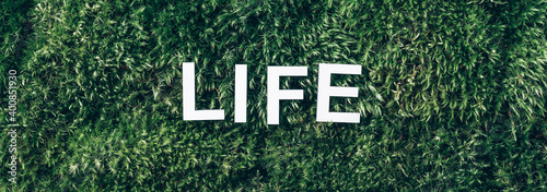 Word Life on moss, green grass background. Top view. Copy space. Banner. Biophilia concept. Nature backdrop