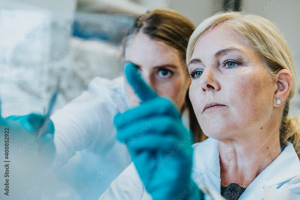 Scientist and assistant discussing while examining human brain microscope slide at laboratory