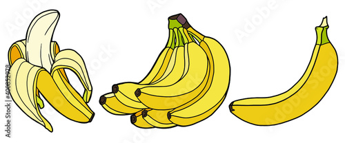 Vector illustration. Hand drawing botanical illustration. Peeled banana. A bunch of bananas. Bananas of different shapes.