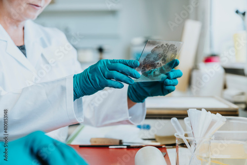 Scientist preparing brain microscope slide at laboratory photo