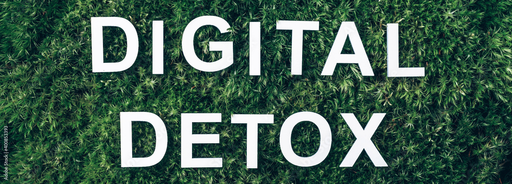 Inscription Digital Detox on moss, green grass background. Top view. Copy space. Banner. Biophilia concept. Nature backdrop. Digital Detox. Free of Electronic Devices